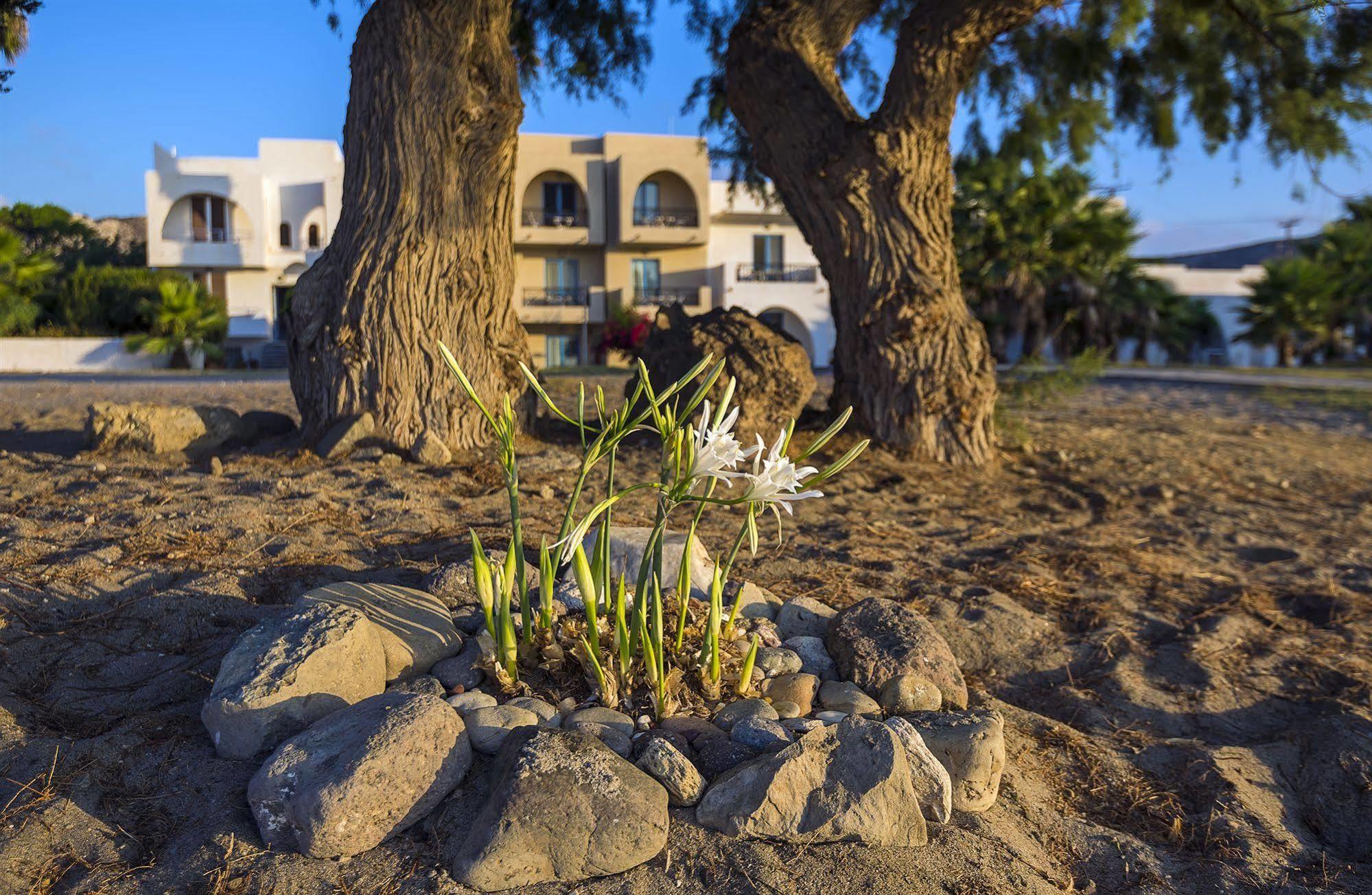 Olympia Mare Aparthotel Kardamena  Exterior photo